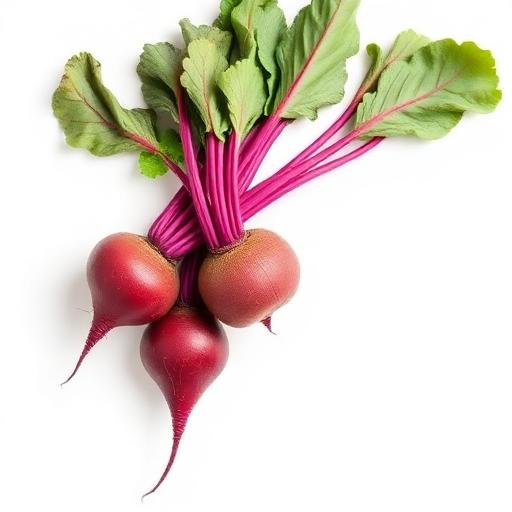 Beet Root